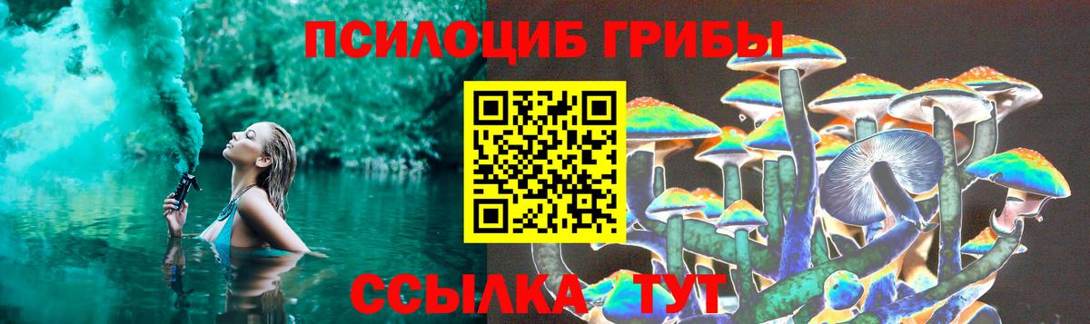 Псилоцибиновые грибы мицелий  Вход с VPN  где можно купить   Асино  Галлюциногенные грибы Cubensis 